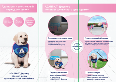 Adaptil junior deals