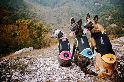 JULIUS-K9     Neoprene IDC,     (,  10)