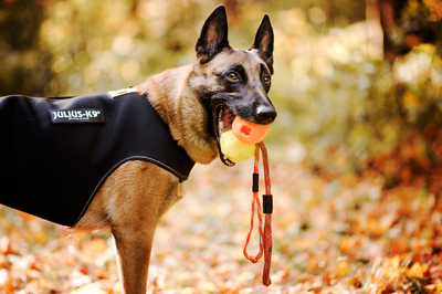 JULIUS-K9     Neoprene IDC,     (,  1)