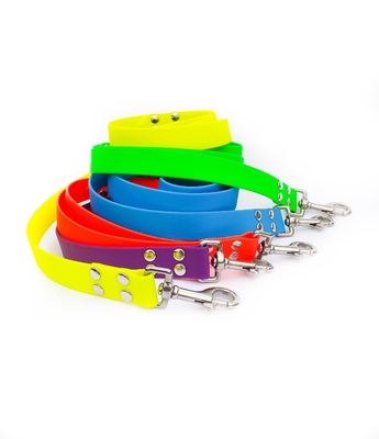 R-Dog   ,  ,   (,  3)