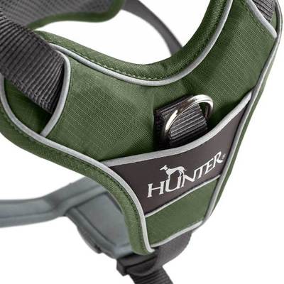 Hunter     Divo,  - (,  3)