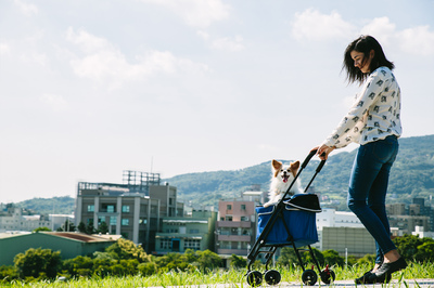 Ibiyaya    Astro Go Lite Pet Stroller  Grungy Blue () (,  1)
