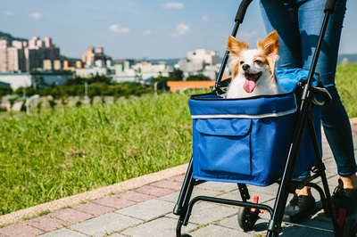 Ibiyaya    Astro Go Lite Pet Stroller  Grungy Blue () (,  2)