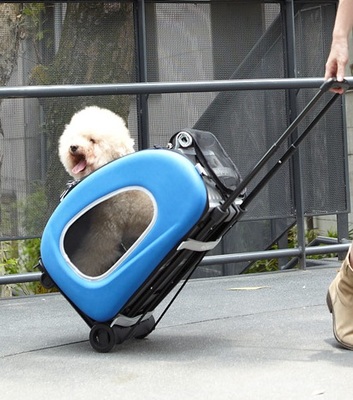 Ibiyaya  -,  () EVA Pet Carrier/ Pet Wheeled Carrier  Blue (,  1)