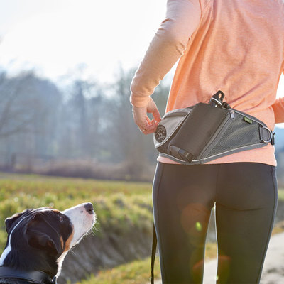 Hunter           Beltpouch with anti-jerk leash Jasper (,  2)