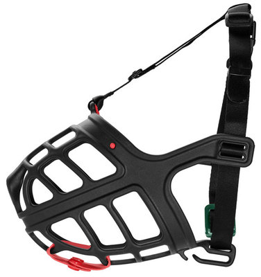 Hunter      Muzzle Albury (,  1)