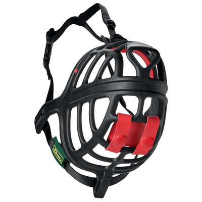 Hunter      Muzzle Albury (,  5)