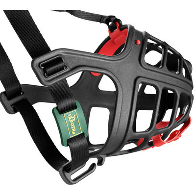 Hunter      Muzzle Albury (,  8)