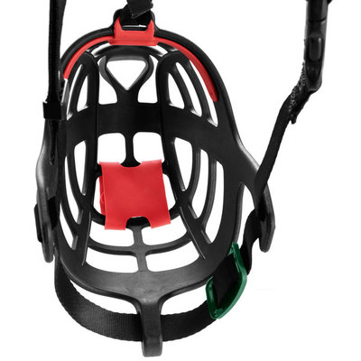 Hunter      Muzzle Albury (,  9)