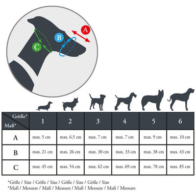 Hunter      Muzzle Albury (,  11)