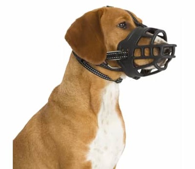 Trixie  Muzzle Flex, ,   (,  5)
