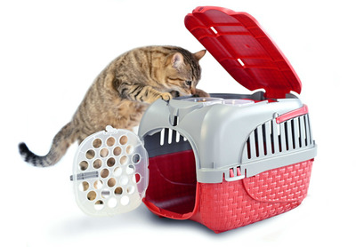 BAMA PET  KENNEL TOUR 523334h   7 ,  (,  1)