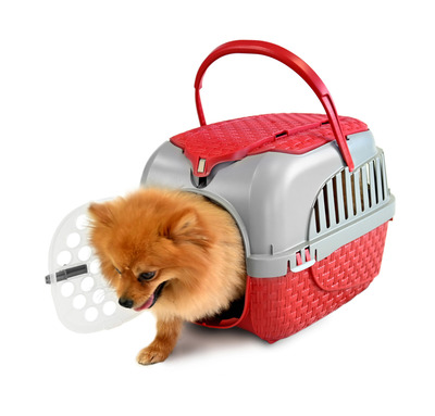 BAMA PET  KENNEL TOUR 523334h   7 ,  (,  3)