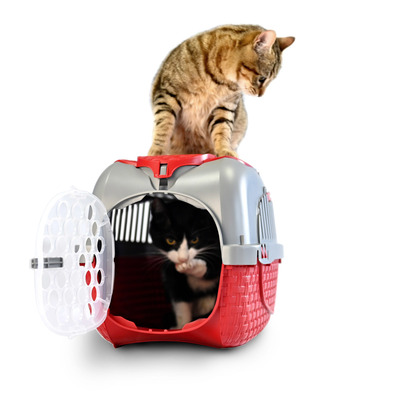 BAMA PET  KENNEL TOUR 523334h   7 ,  (,  5)