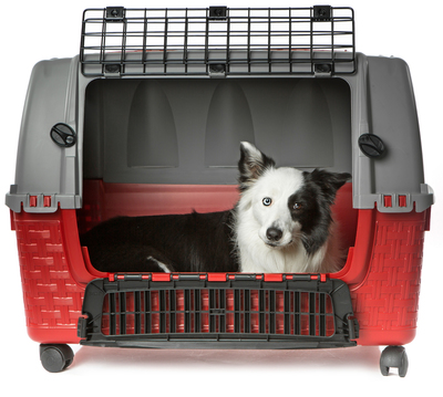 BAMA PET   ,  , KENNEL TOUR EASY 885260h ,  (,  3)
