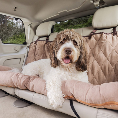 Solvit Products & PetSafe  -      (,  1)