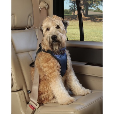 Solvit       Deluxe Car Safety Dog Harness,  M (,  1)