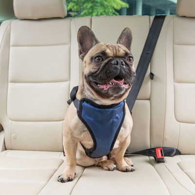 Solvit       Deluxe Car Safety Dog Harness,  M (,  2)