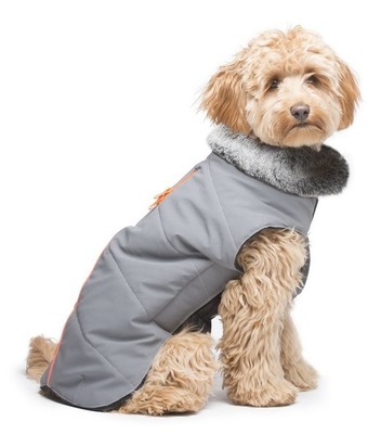      Tamarack Meteor Dog Gone Smart,   (,  1)