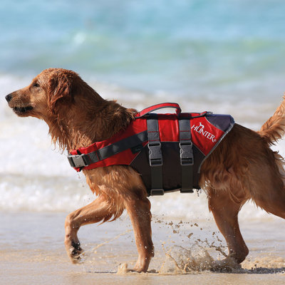 Hunter Moss     Life jacket Moss (,  1)