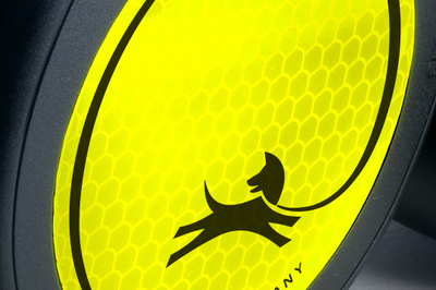 Flexi Neon New Classic   - 5     20  (,  1)