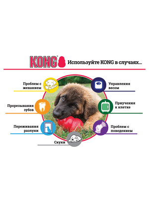 Kong Extreme        (,  1)