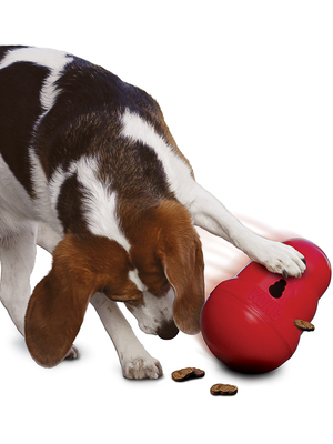Kong Wobbler -     (,  3)