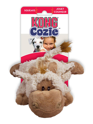 Kong  Cozie " " ( : , , ) (,  1)