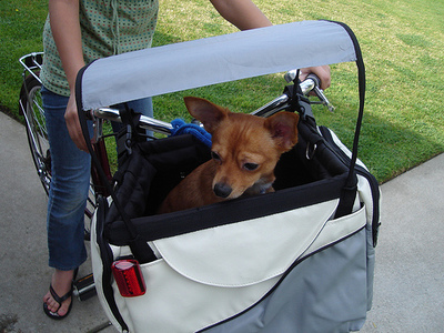 Solvit 2  1 -    Deluxe Tagalong Pet Bicycle Basket (,  4)