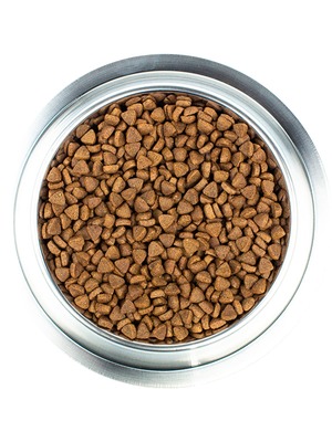 Core             (,  4)
