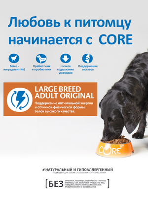 Core          (,  9)