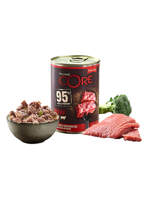 Core 95         (,  3)