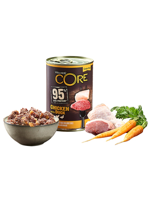 Core 95           (,  3)
