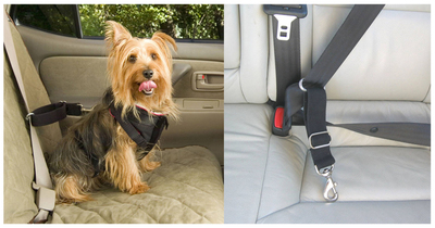 Solvit       Deluxe Car Safety Tether (,  2)