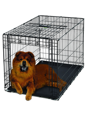 Midwest Crate Ovation,      - ,   (,  2)