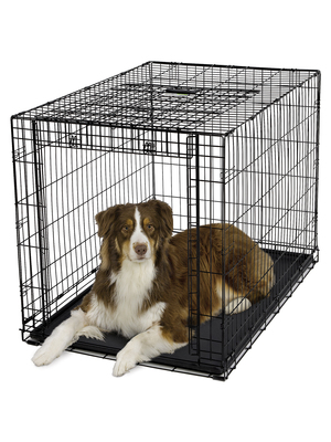 Midwest Crate Ovation,      - ,   (,  4)