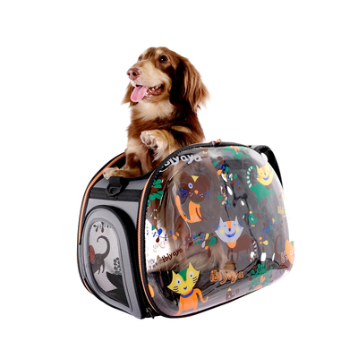 Ibiyaya  -,  Cats&Dogs () (,  2)