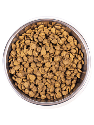 Monge Cat Indoor     (,  5)