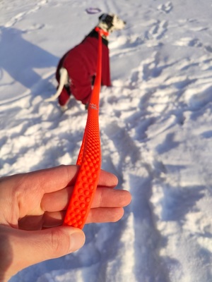 R-Dog    Super Grip,   ,    (    ) (,  1)