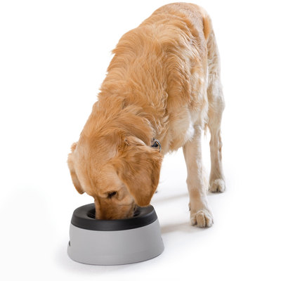 Hunter Travel bowl Road Refresher -   (,  3)