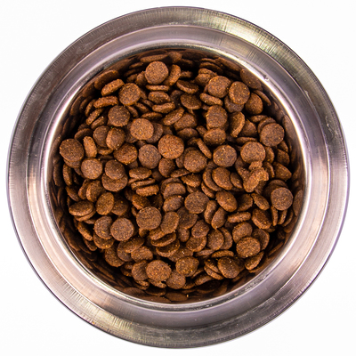 Monge Dog Medium      (,  8)