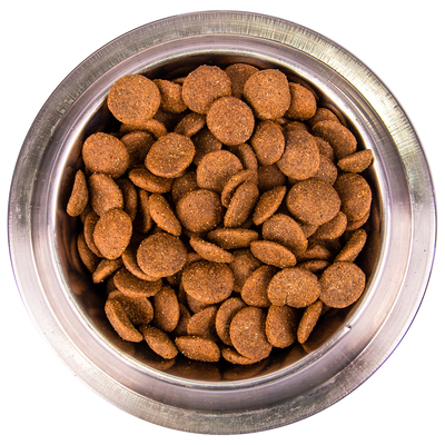 Monge Dog Maxi       (,  8)