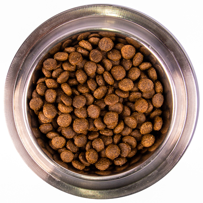 Monge Dog Maxi      (,  8)