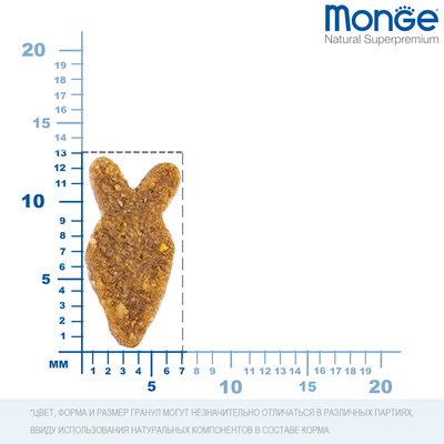 Monge Cat       (,  8)