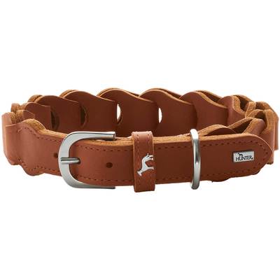  Hunter Solid Education  , ,  50,  34-42  (,  1)