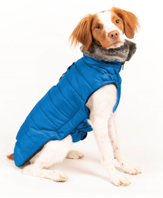 Dog Gone Smart      Hemlock Jacket,    (,  4)