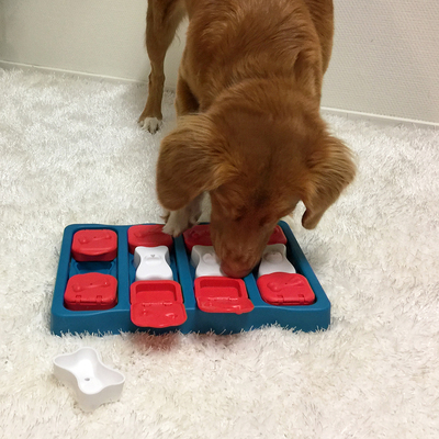 Nina Ottosson     Outward Hound Dog Brick, 2 ()   (by Nina Ottosson) (,  1)