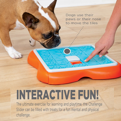 Nina Ottosson     CHALLENGE SLIDER - DOG PUZZLE GAME, 3 ()   (by Nina Ottosson) (,  1)