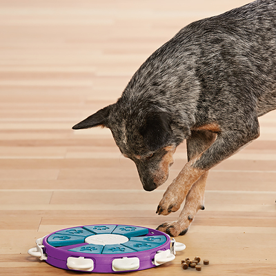 Nina Ottosson     DOG TWISTER, 3 ()   (by Nina Ottosson) (,  4)