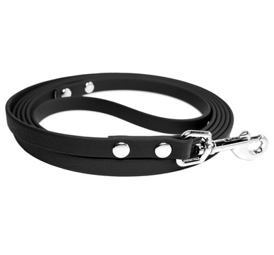 R-Dog   ,   ,   (,  1)
